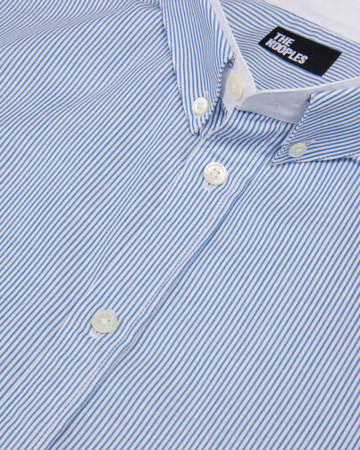 , BLUE WHITE, hi-res image number null