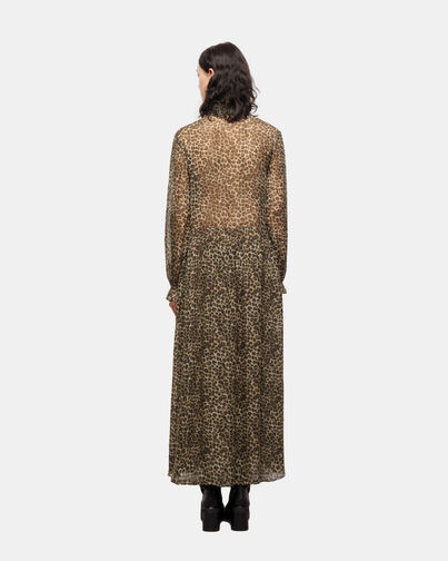 , LEOPARD, hi-res image number null