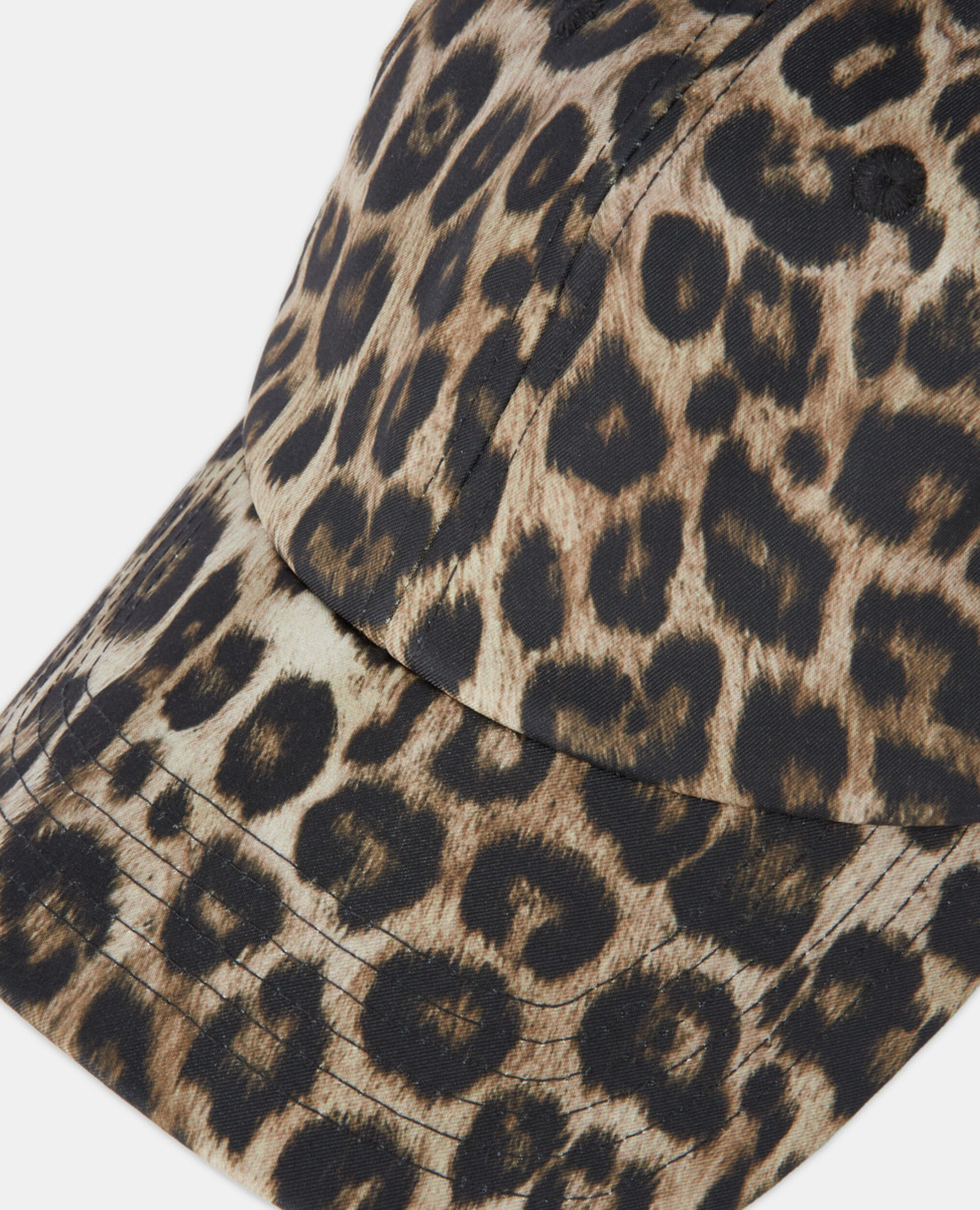 , LEOPARD, hi-res image number null
