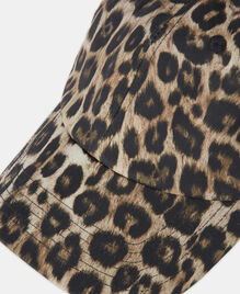 , LEOPARD, hi-res image number null