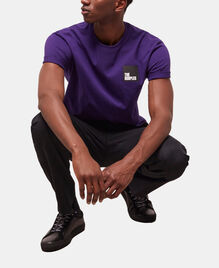 , PURPLE, hi-res image number null