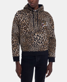 , LEOPARD, hi-res image number null