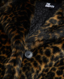 , LEOPARD, hi-res image number null