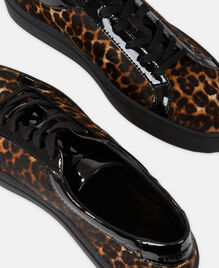 , LEOPARD, hi-res image number null