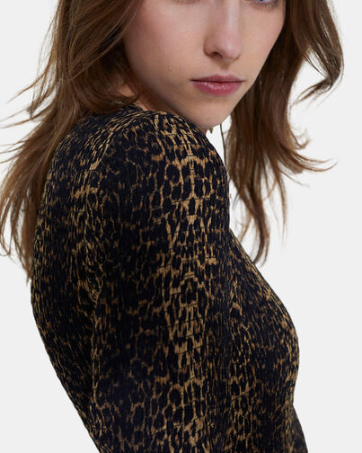 , LEOPARD, hi-res image number null