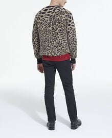 , LEOPARD, hi-res image number null