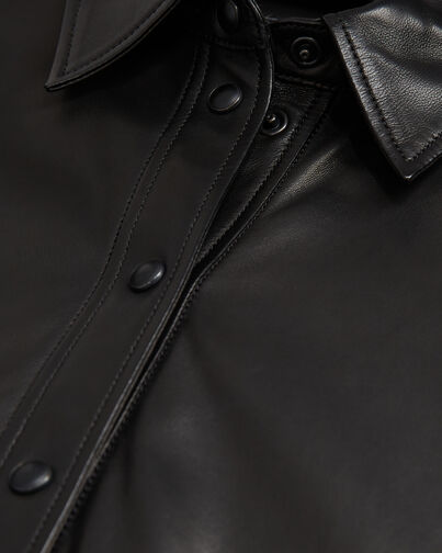 , BLACK, hi-res image number null