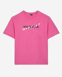 , FUSHIA, hi-res image number null
