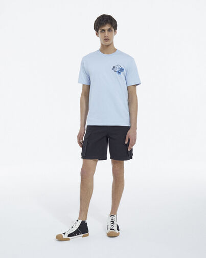 , BLUE, hi-res image number null