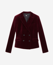 , BURGUNDY, hi-res image number null