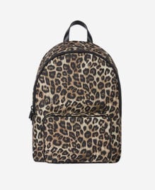 , LEOPARD, hi-res image number null