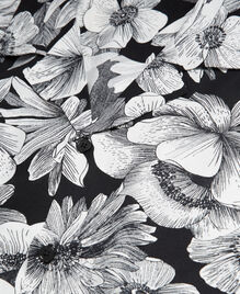, BLACK WHITE, hi-res image number null
