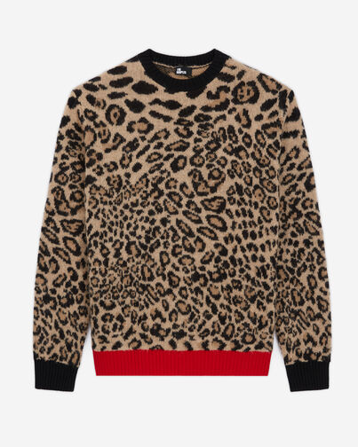 , LEOPARD, hi-res image number null