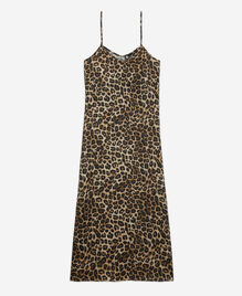 , LEOPARD, hi-res image number null