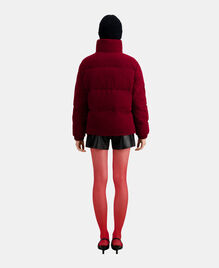 , DARK BURGUNDY, hi-res image number null