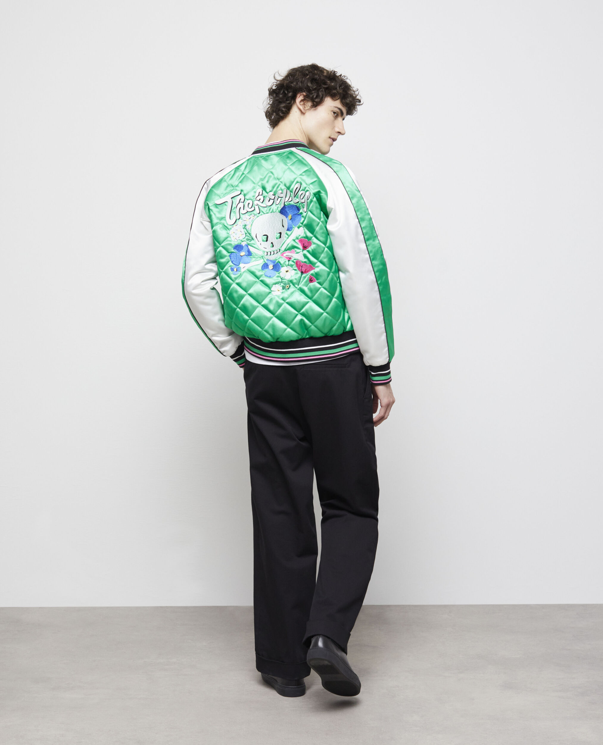 Blouson Teddy bicolore avec broderies, GREEN-WHITE, hi-res image number null