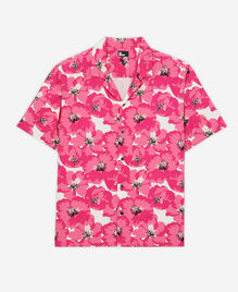 , PINK, hi-res image number null