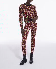 , DARK RED, hi-res image number null