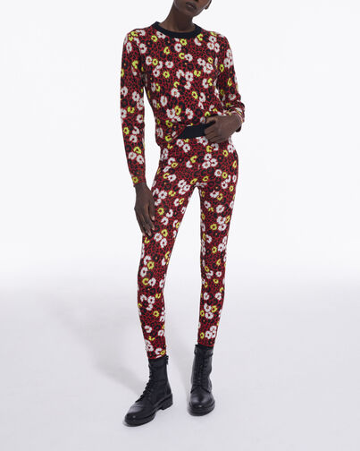 , DARK RED, hi-res image number null