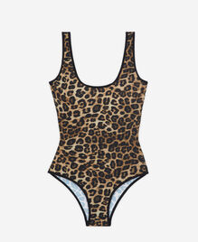 , LEOPARD, hi-res image number null