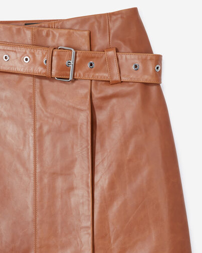 , BROWN, hi-res image number null