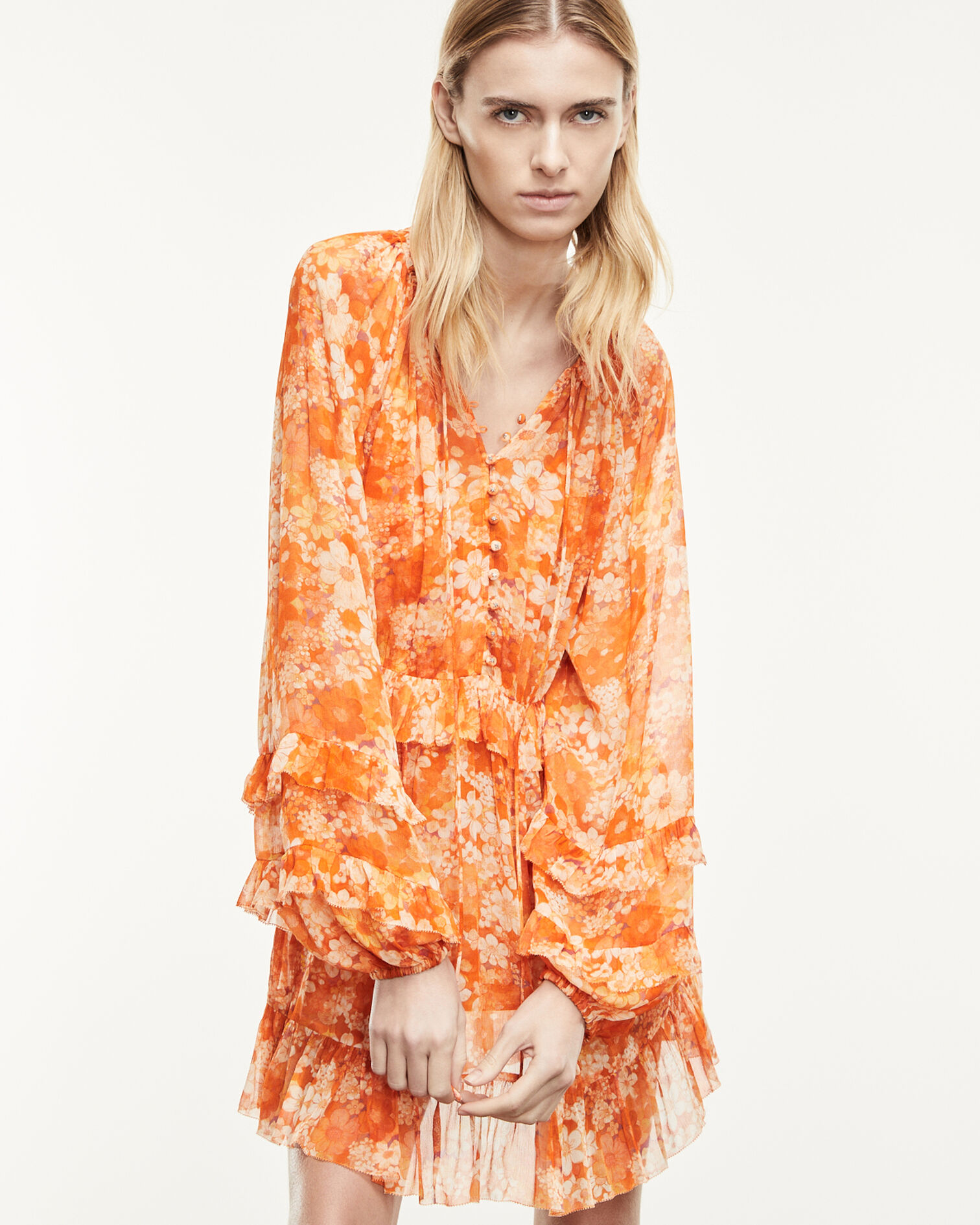 , ORANGE, hi-res image number null