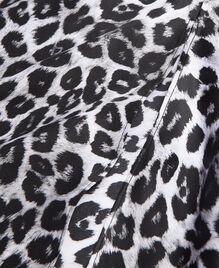 , BLACK WHITE LEOPARD, hi-res image number null