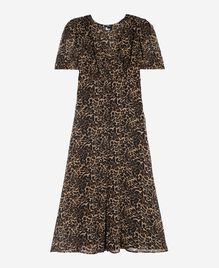 , LEOPARD, hi-res image number null