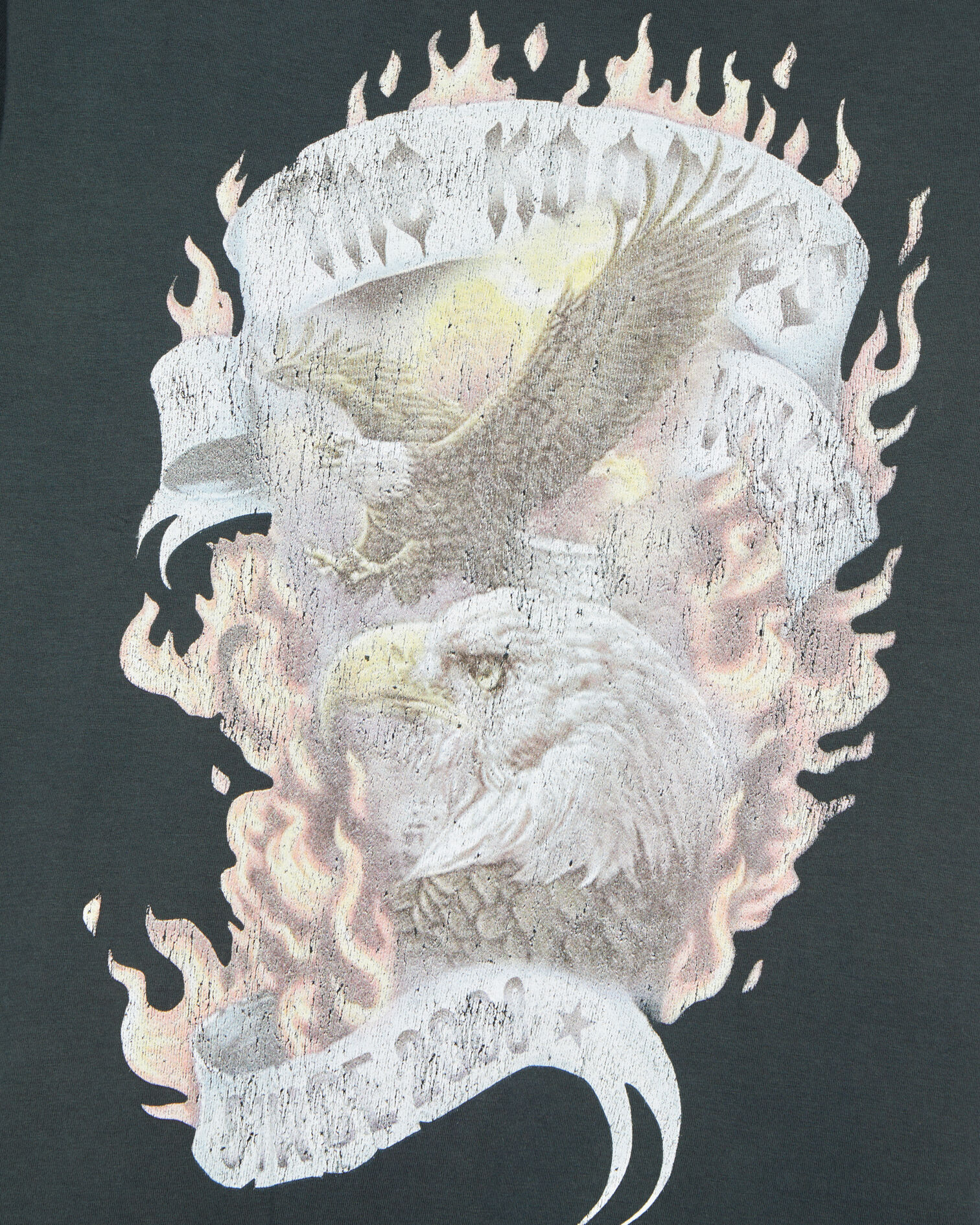Black Eagles on fire serigraphy t-shirt, BLACK WASHED, hi-res image number null