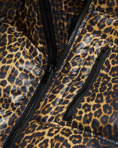 , LEOPARD, hi-res image number null