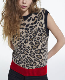 , LEOPARD, hi-res image number null