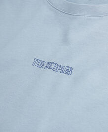 , BLUE GREY, hi-res image number null