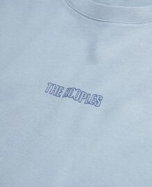 , BLUE GREY, hi-res image number null