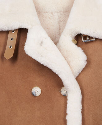 , BROWN-BEIGE, hi-res image number null