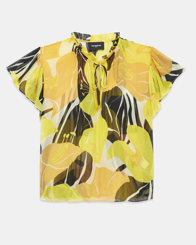 , YELLOW, hi-res image number null