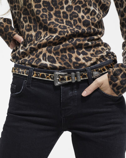 , LEOPARD, hi-res image number null
