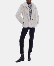 , WHITE, hi-res image number null