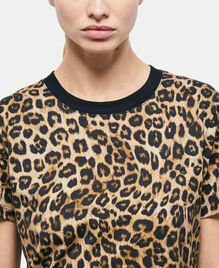 , LEOPARD, hi-res image number null