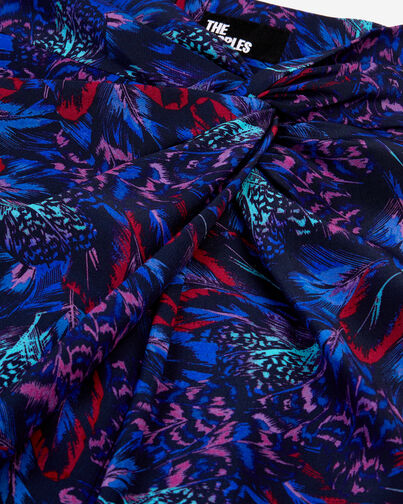 , BLUE RED, hi-res image number null