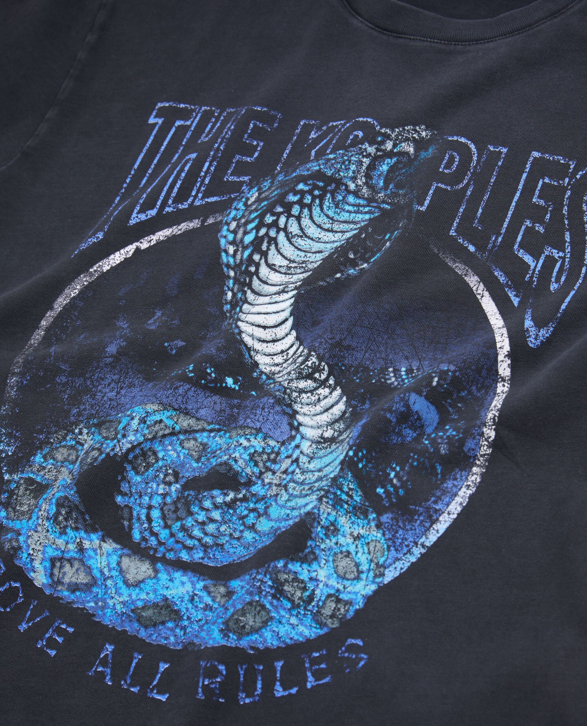 Schwarzes T-Shirt Herren mit „Cobra“-Siebdruck, BLACK WASHED, hi-res image number null