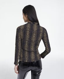 , LEOPARD, hi-res image number null