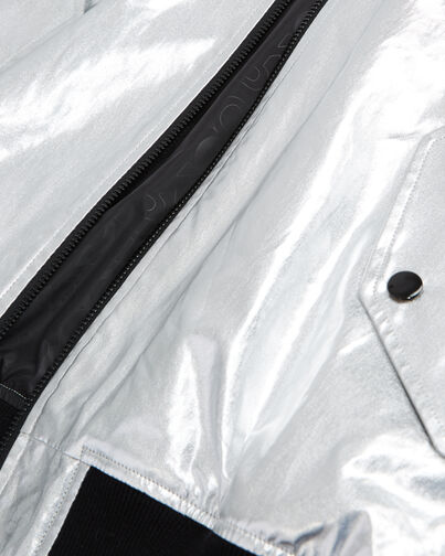 , SILVER / GOLD, hi-res image number null