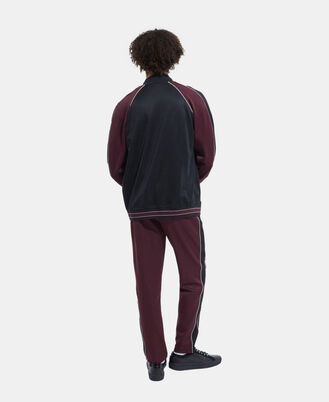 , BURGUNDY, hi-res image number null