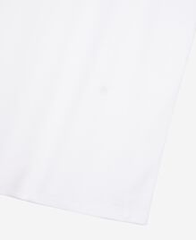 , WHITE, hi-res image number null