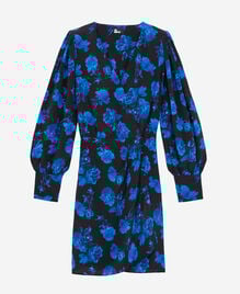 , BLACK BLUE, hi-res image number null