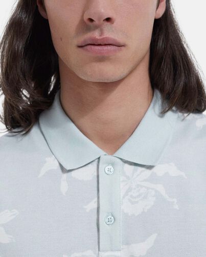 , GRIS BLEU, hi-res image number null