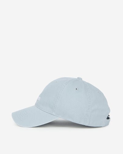 , BLUE GREY, hi-res image number null