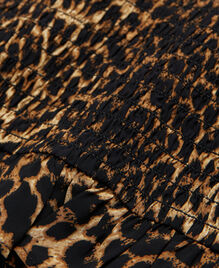, LEOPARD, hi-res image number null
