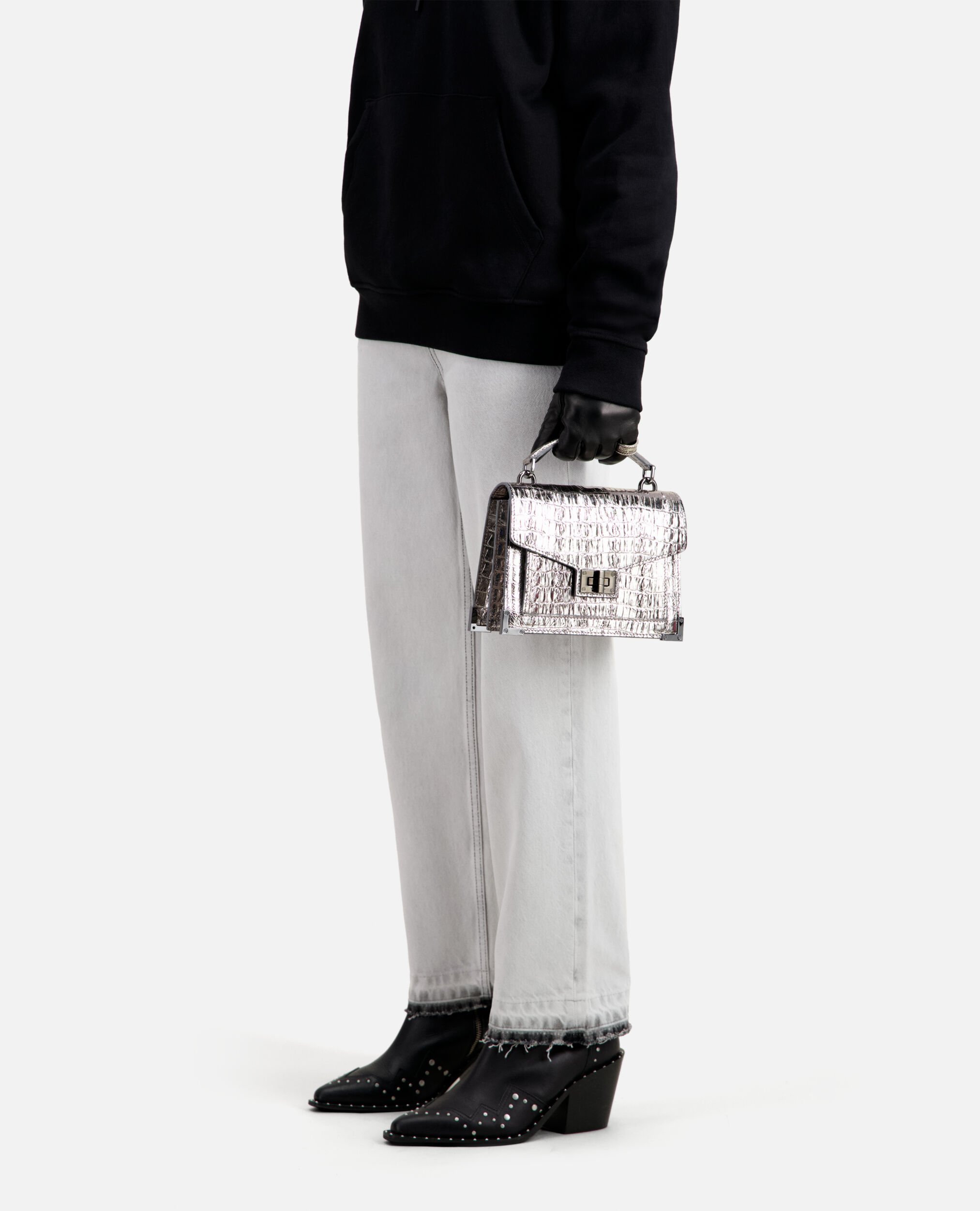 , ANTIC SILVER, hi-res image number null