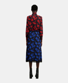 , BLACK BLUE, hi-res image number null